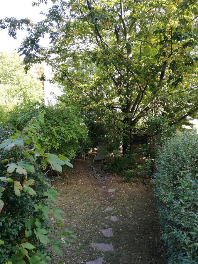 Room In Maisonette With Garden, Parking Place Βιέννη Εξωτερικό φωτογραφία